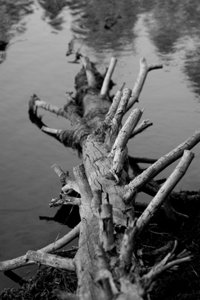Art & details photograph 36 from Chris Springer’s portfolio
